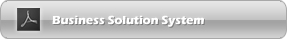 Business Solution System